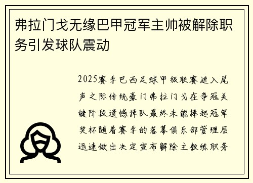 弗拉门戈无缘巴甲冠军主帅被解除职务引发球队震动 弗拉门戈无缘巴甲冠军主帅被解除职务引发球队震动